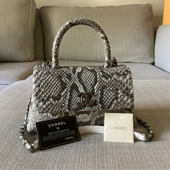 Authentic Chanel python - Picture 7 of 16